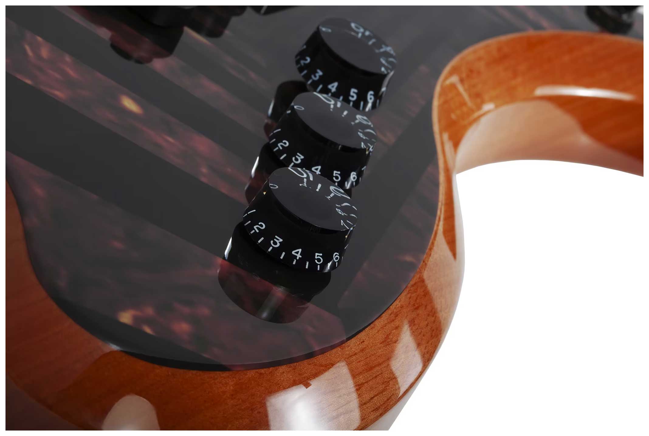 Wylde Audio Wrathmaker Tortoise Shell Corridors