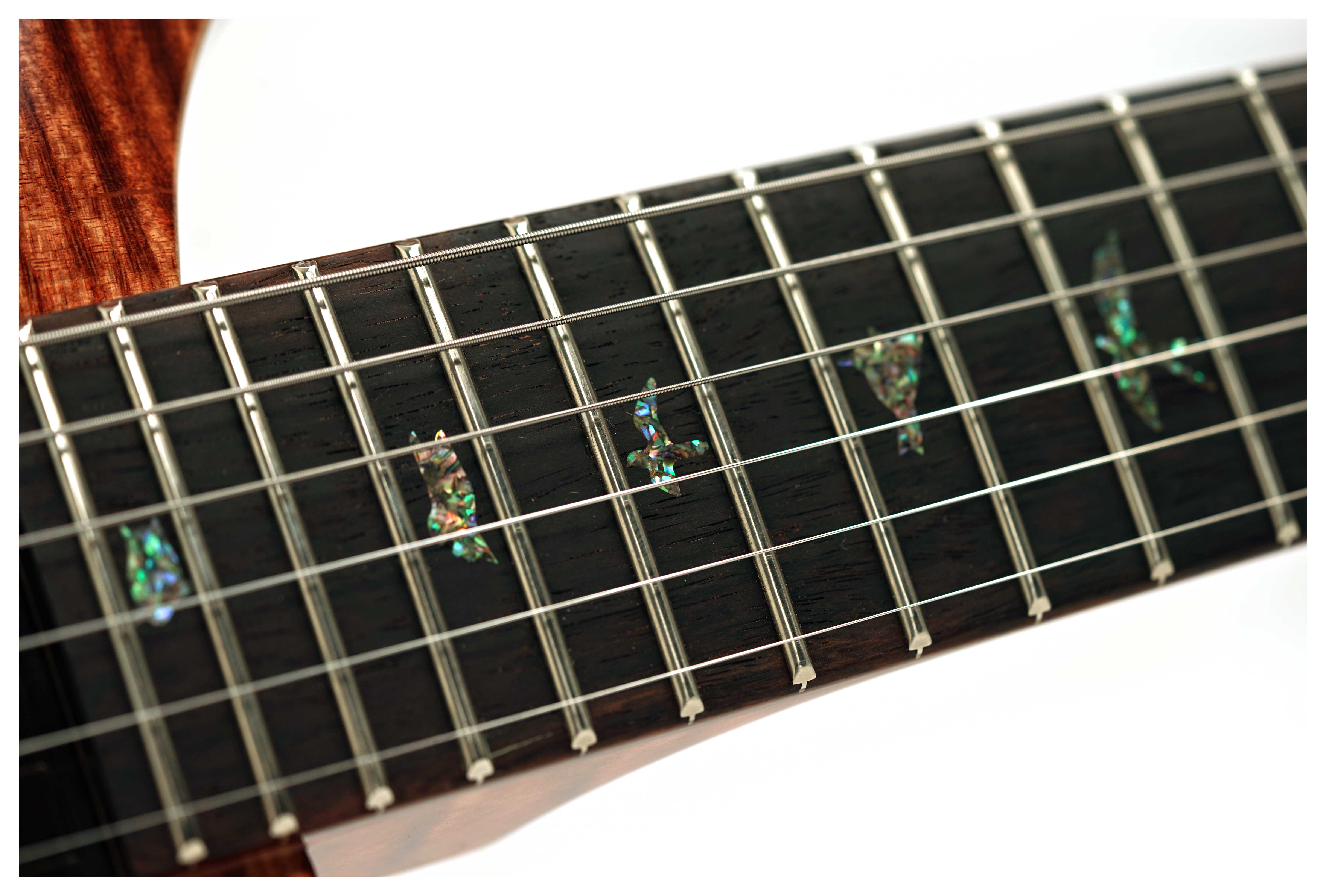 PRS Wood Library Custom 24 10 Top Copper Head #0423656