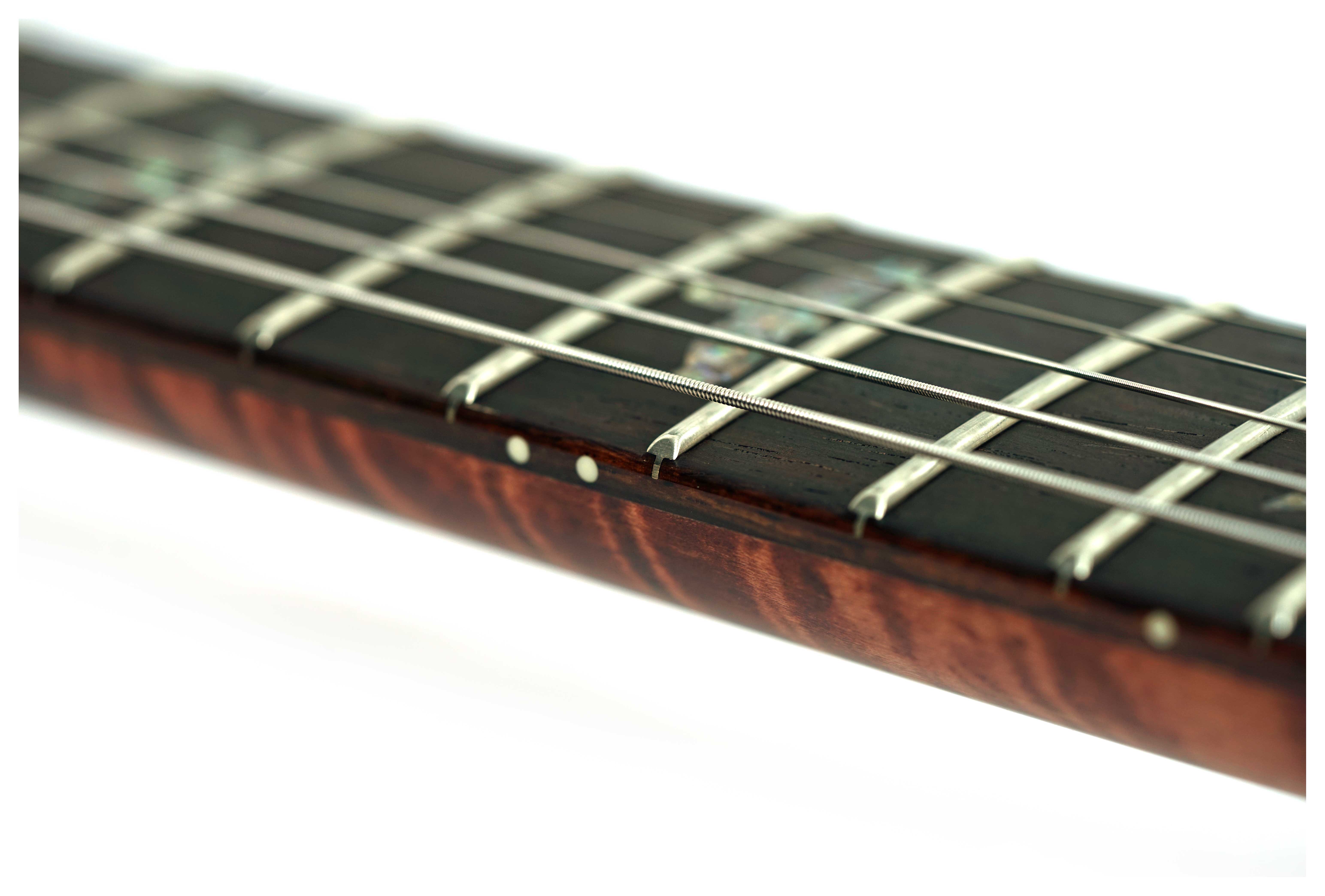 PRS Wood Library Custom 24 10 Top Copper Head #0423656