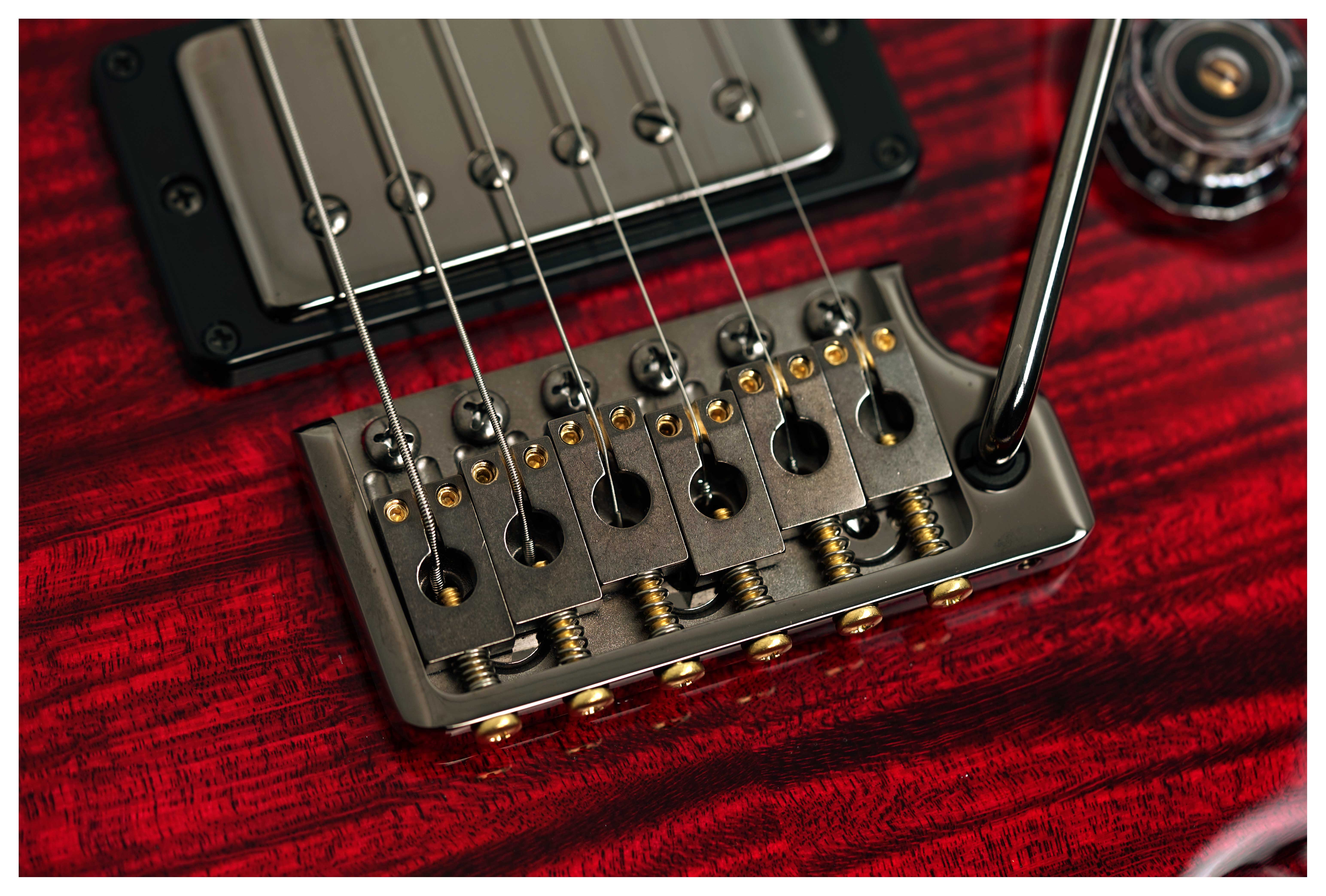 PRS Wood Library Custom 24 10 Top Red Tiger Eye #0423661