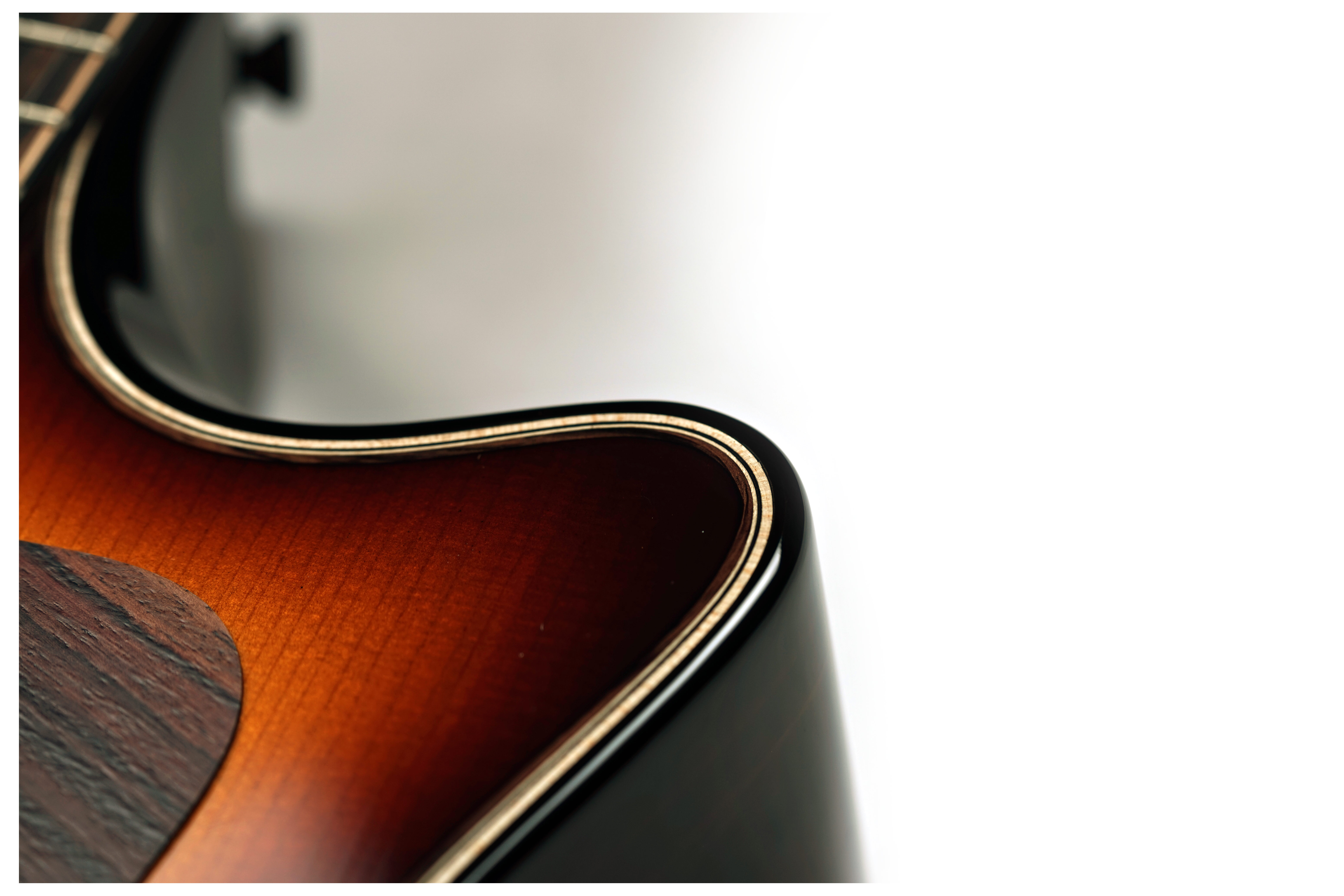 Taylor Limited Edition Builders Edition 814ce Grand Auditorium Macassar Ebony #1202256082