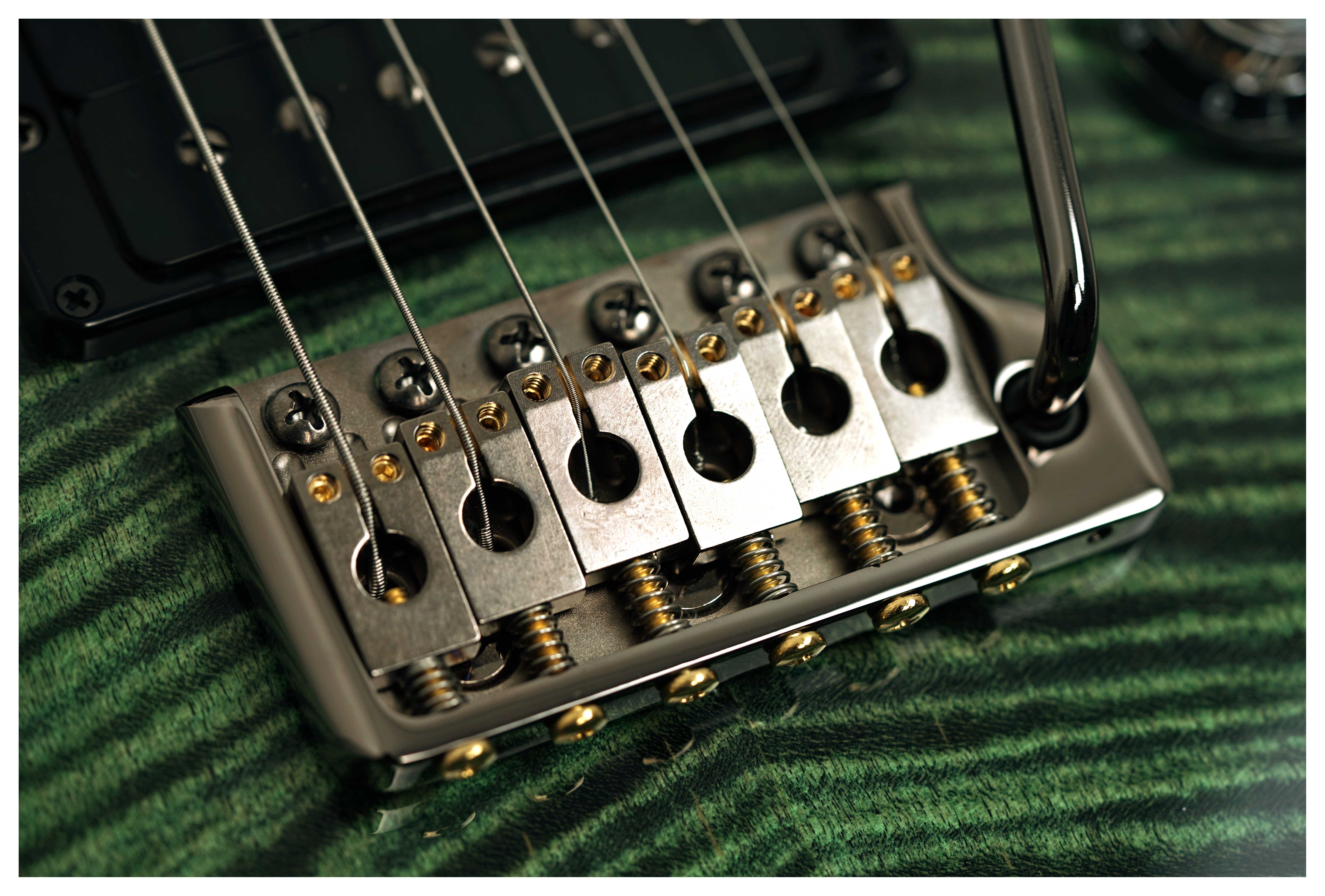 PRS Private Stock Custom 24-08 10 Top Sage #0425133