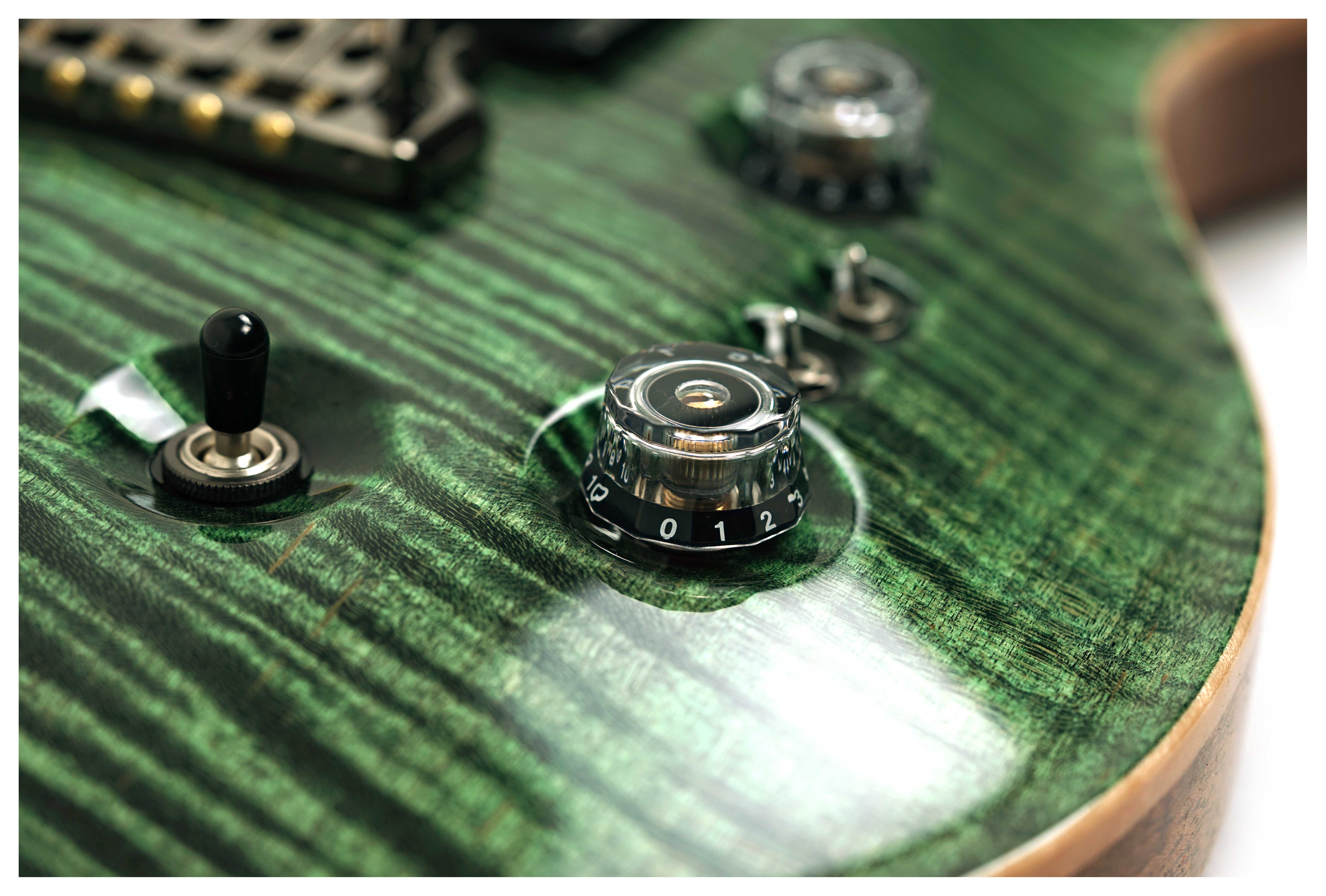 PRS Private Stock Custom 24-08 10 Top Sage #0425133