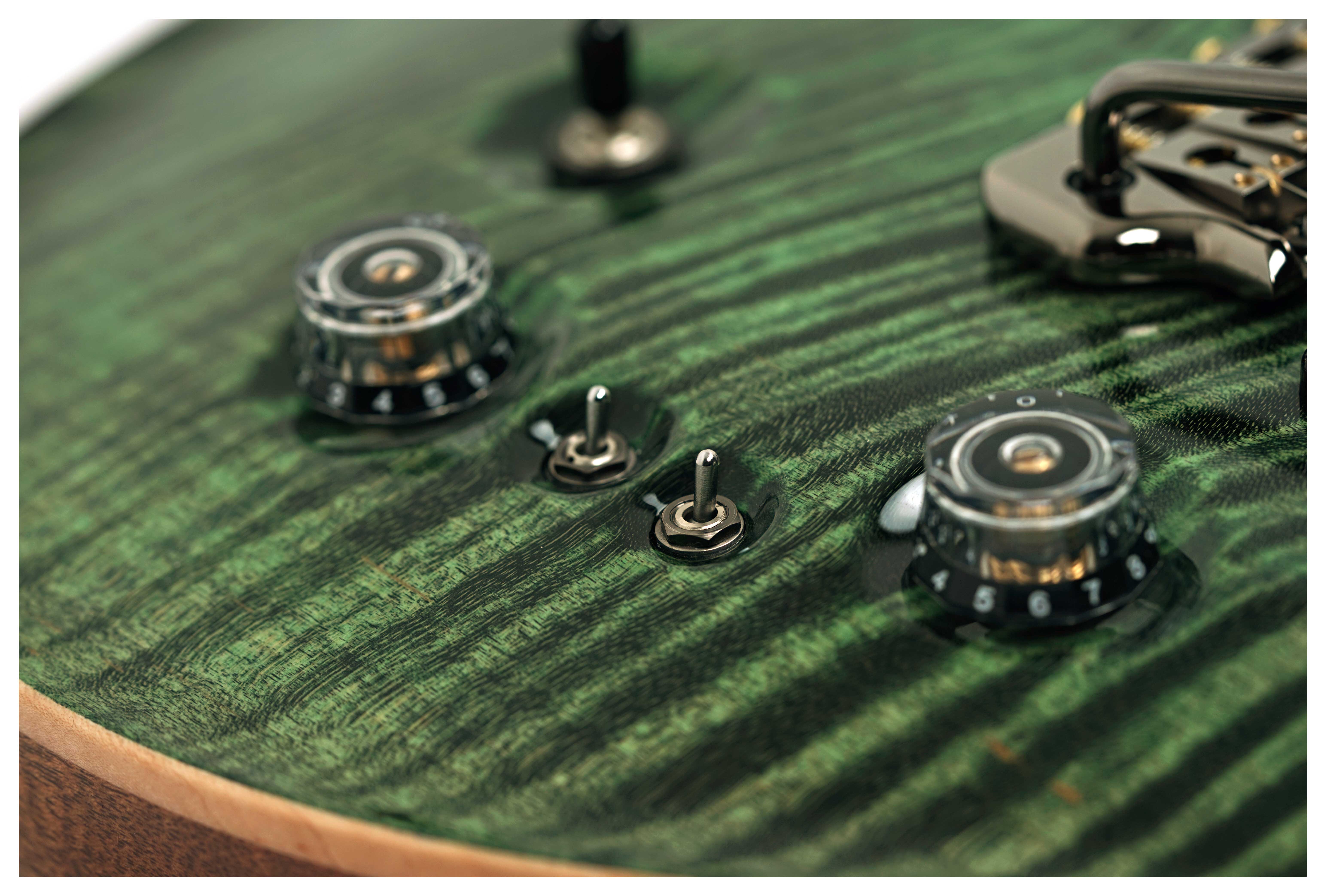 PRS Private Stock Custom 24-08 10 Top Sage #0425133