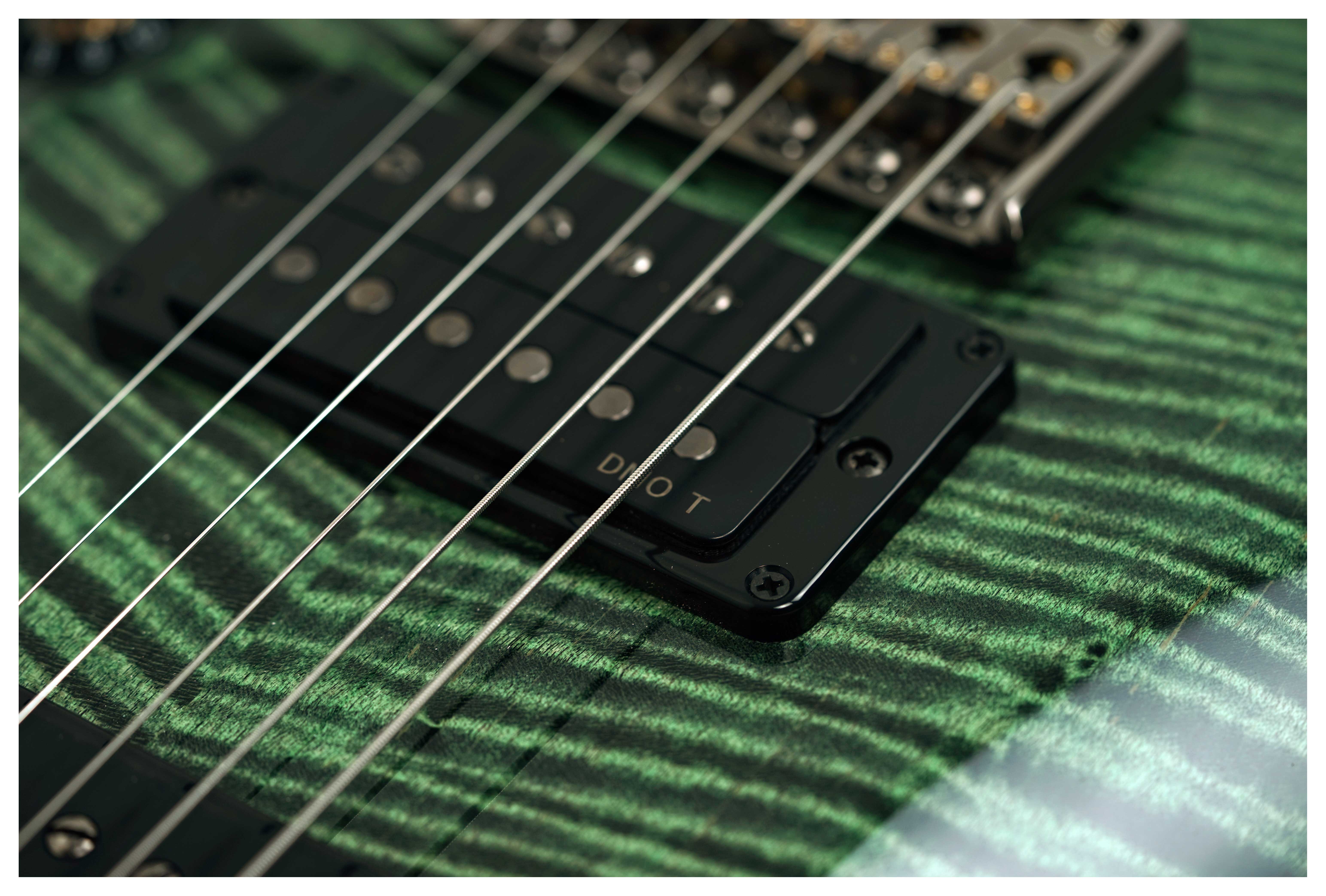 PRS Private Stock Custom 24-08 10 Top Sage #0425133