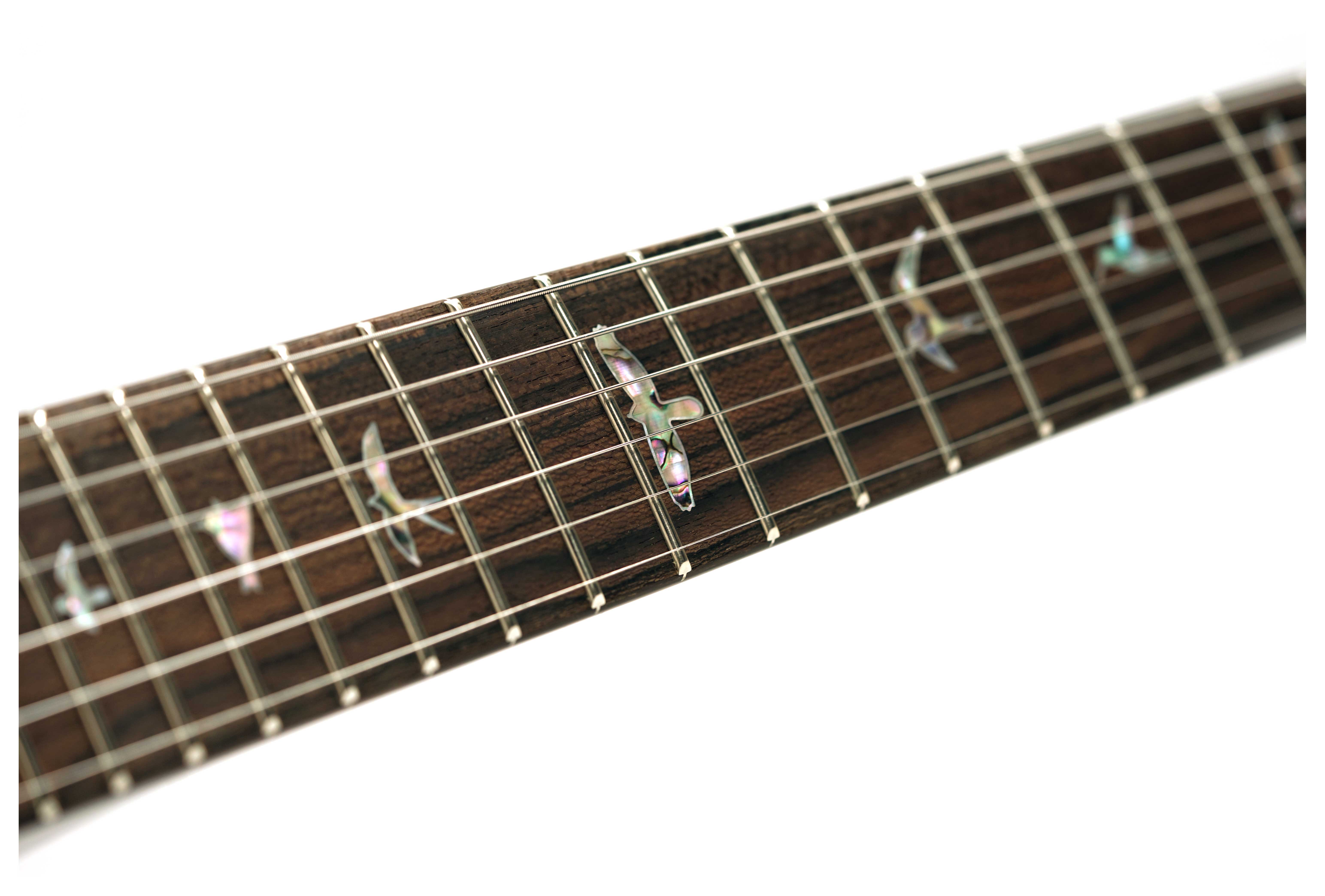PRS Private Stock Custom 24-08 10 Top Sage #0425133