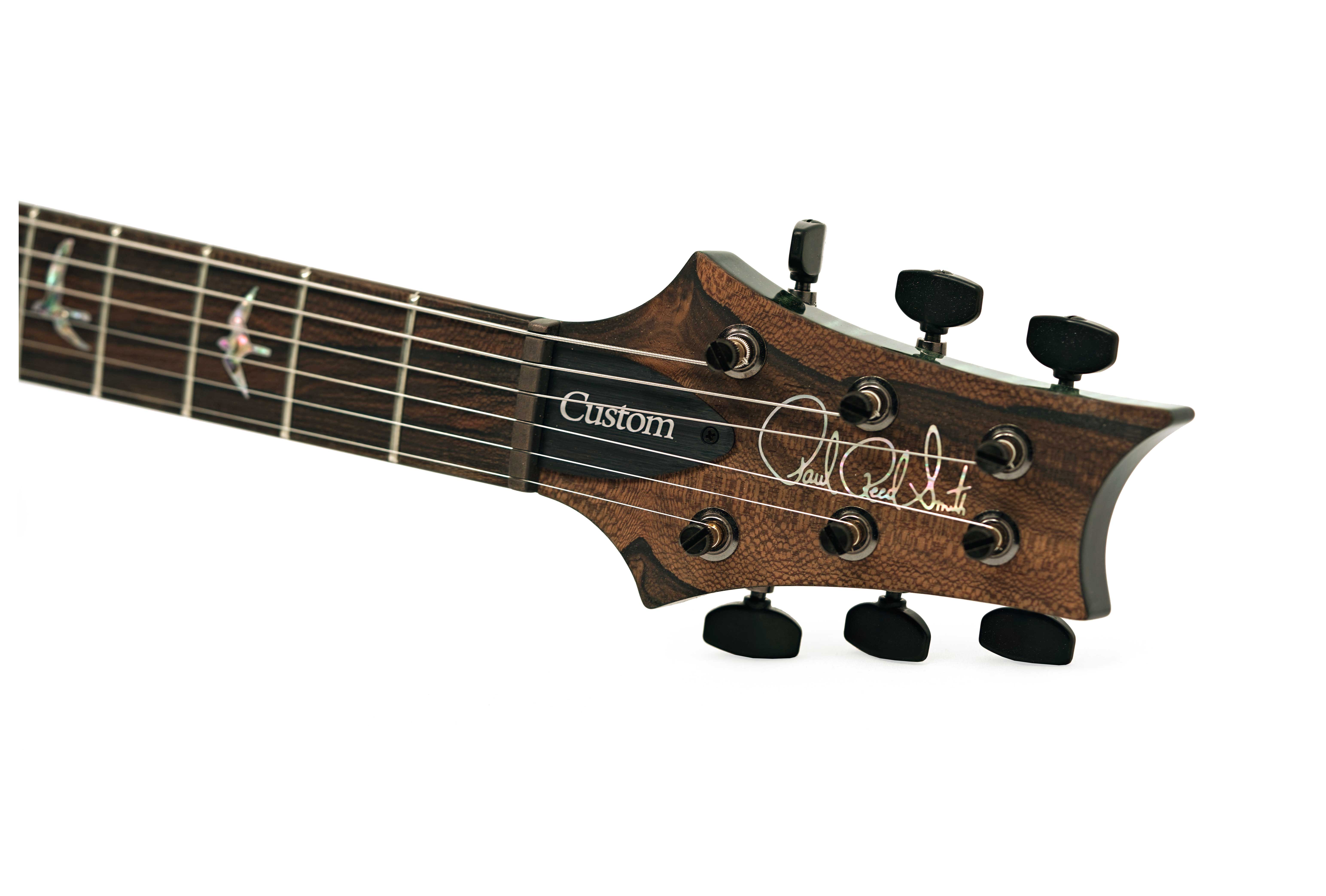 PRS Private Stock Custom 24-08 10 Top Sage #0425133