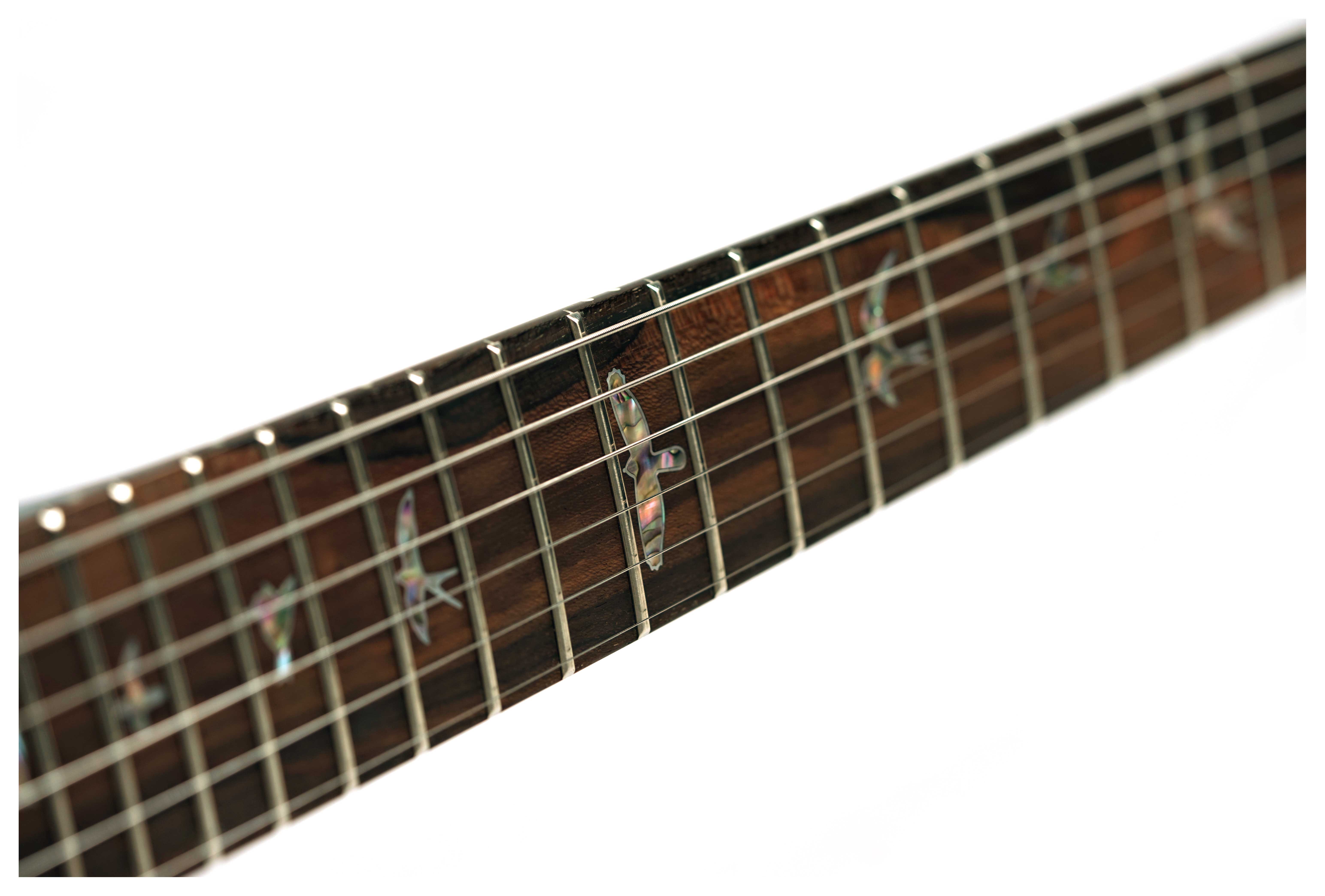PRS Private Stock Custom 24-08 10 Top Indigo #0425443