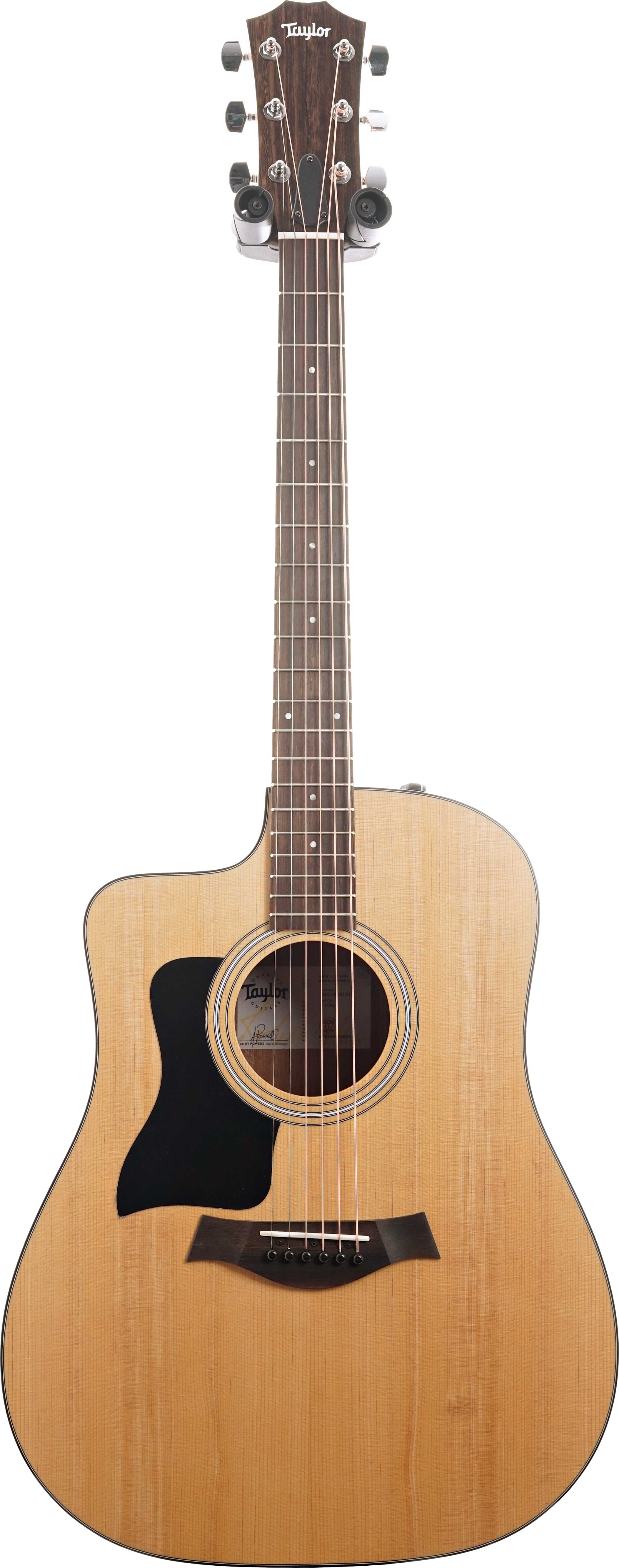 Taylor 110ce Dreadnought Left Handed