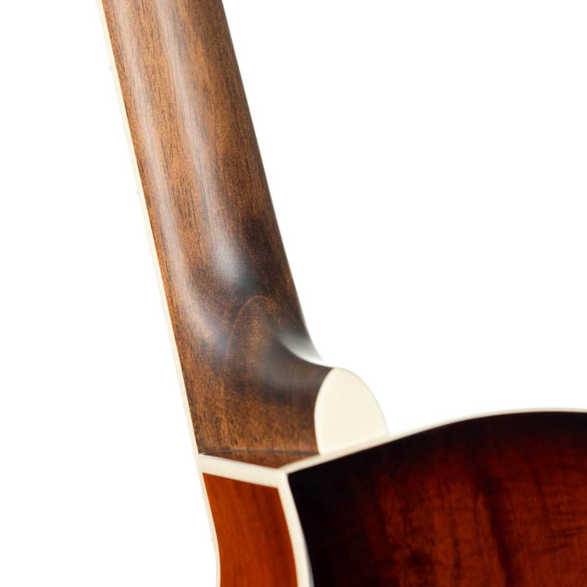 Cort Exotic-SFX Myrtle Sunburst