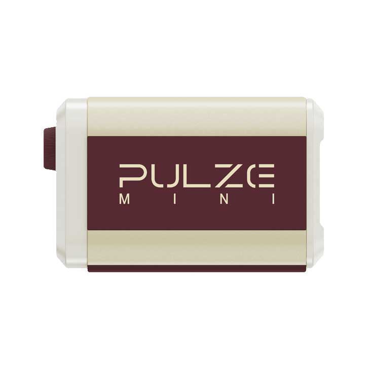 Hotone Pulze Mini Combo Practice Amp