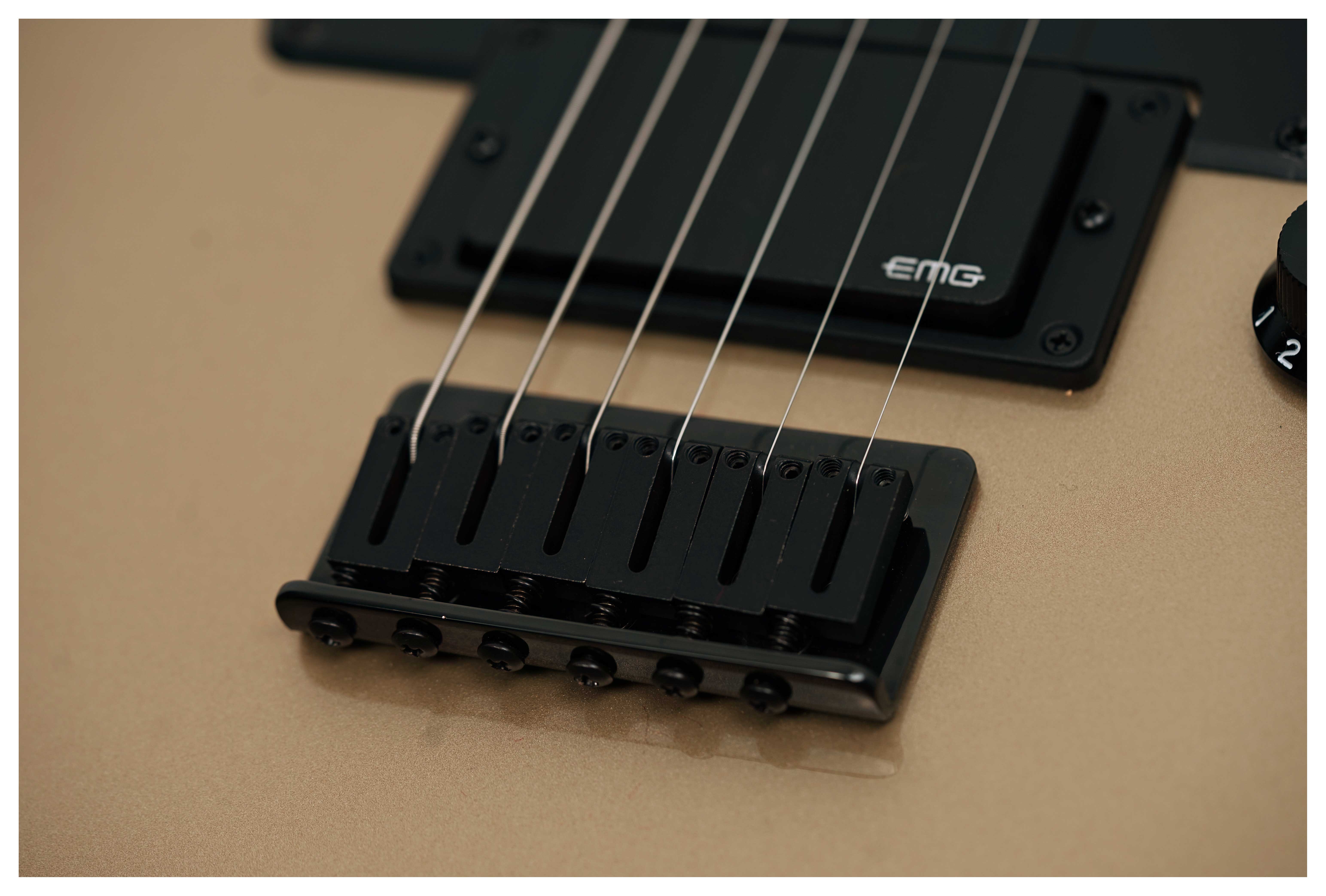 Fender Jim Root Telecaster Ebony Fingerboard Shoreline Gold