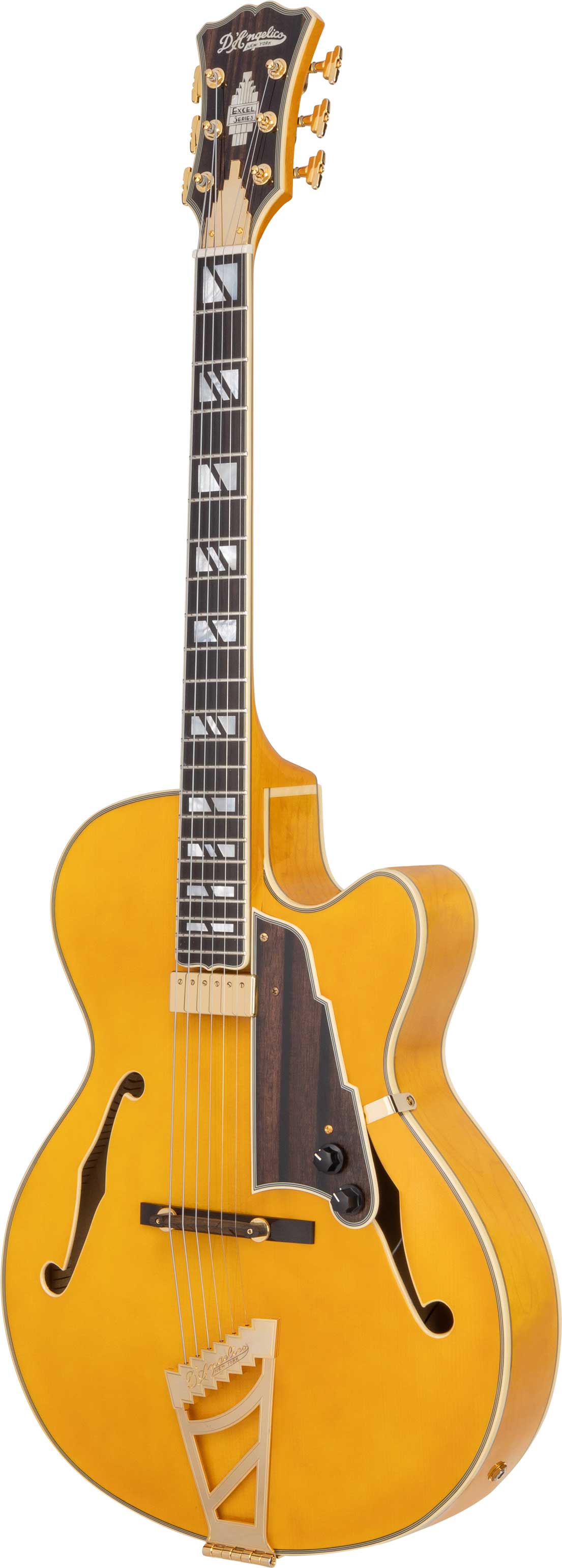 D'Angelico Excel 16 Amber