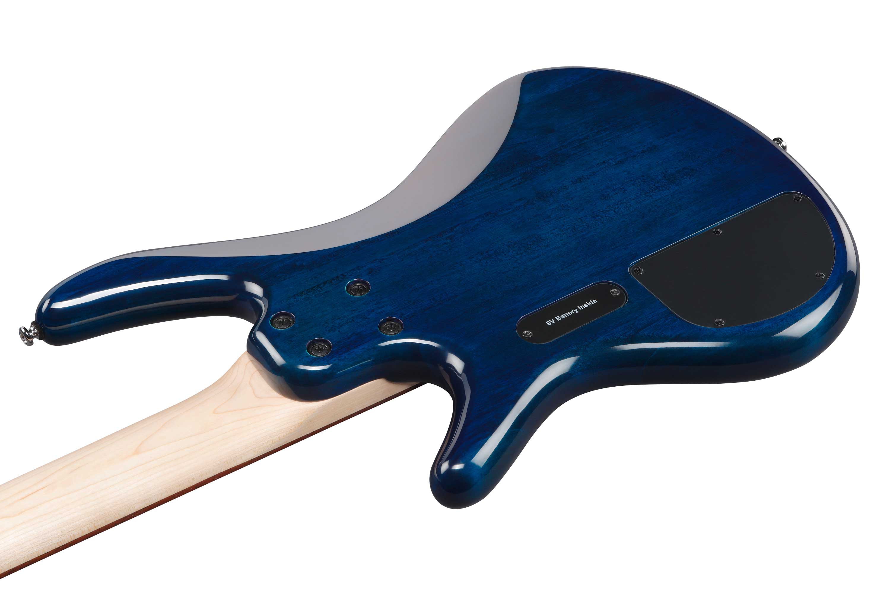 Ibanez GSR205 Blue Moon Burst 5-String