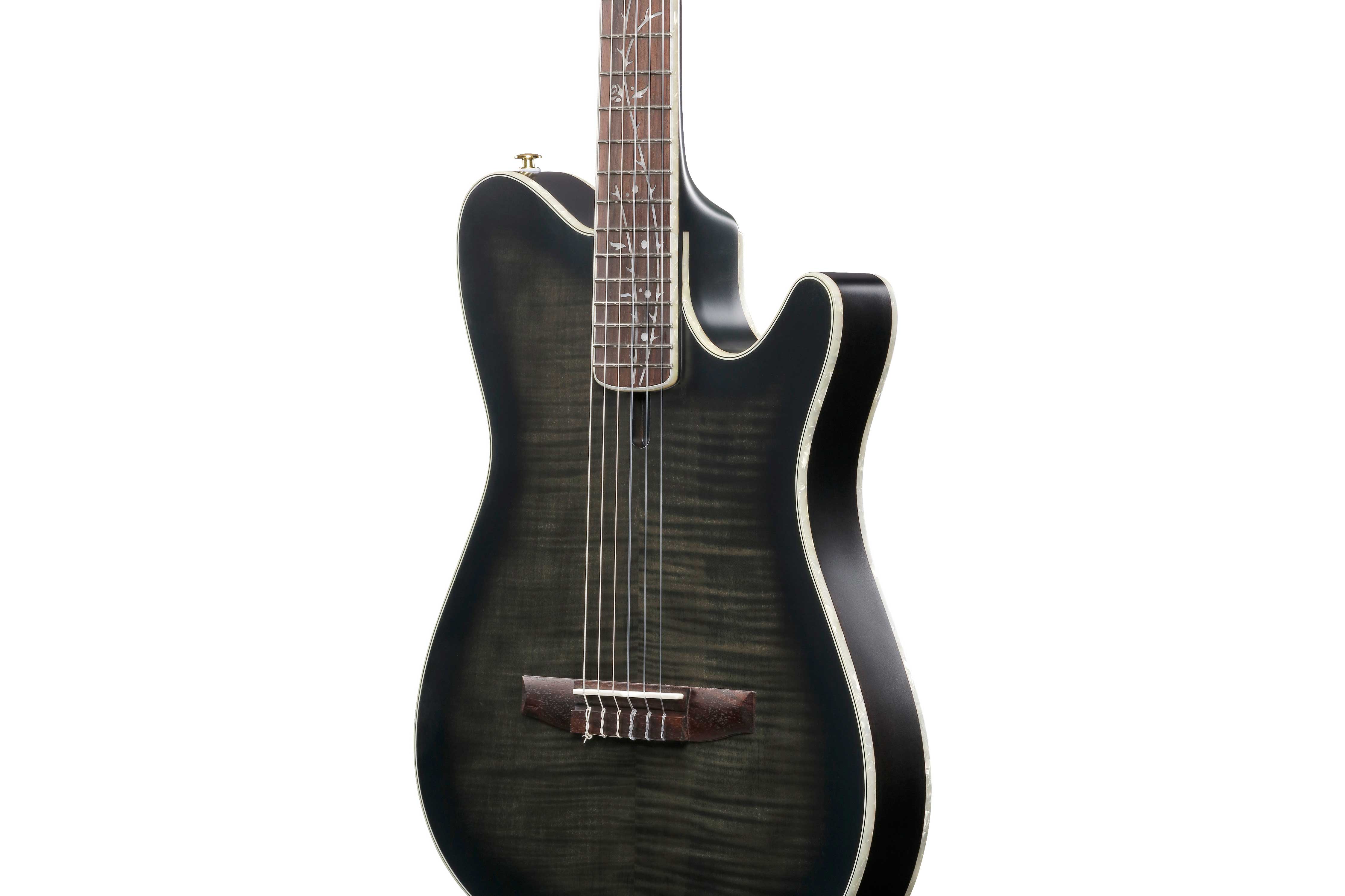 Ibanez TOD20FMN Black Burst Fade Low Gloss
