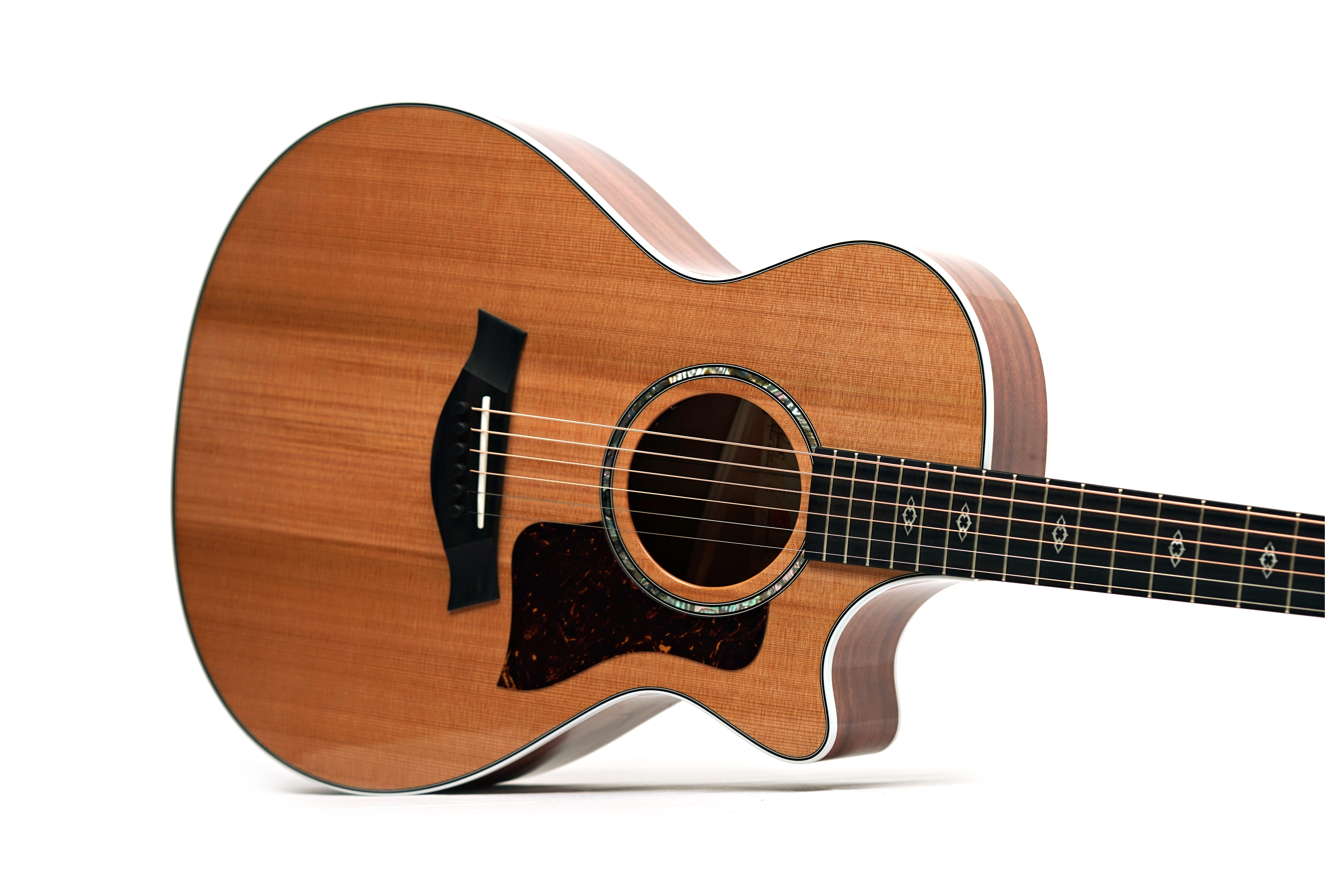 Taylor 512ce Next Generation Grand Concert #1204306011