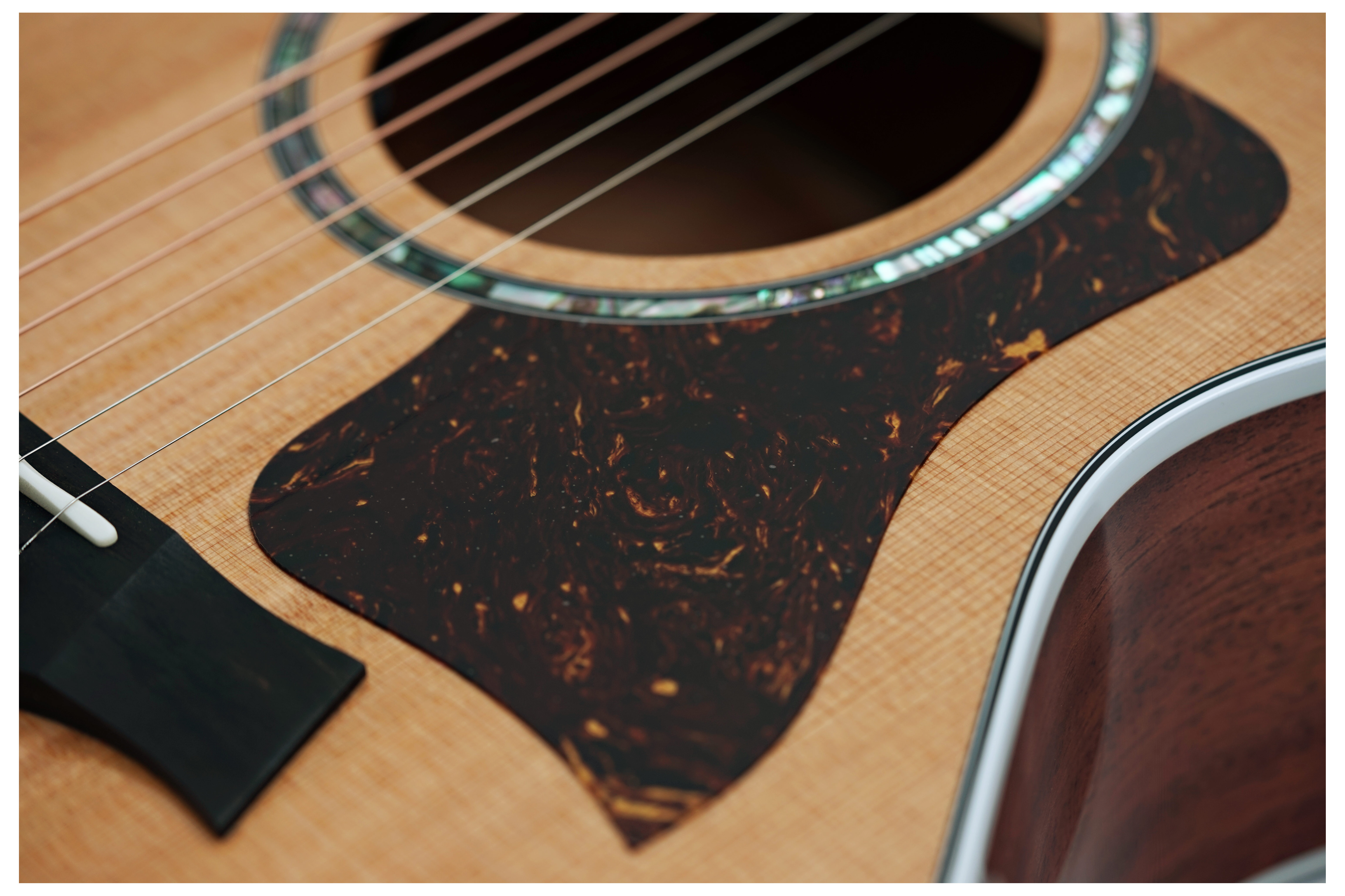 Taylor 512ce Next Generation Grand Concert #1204306011