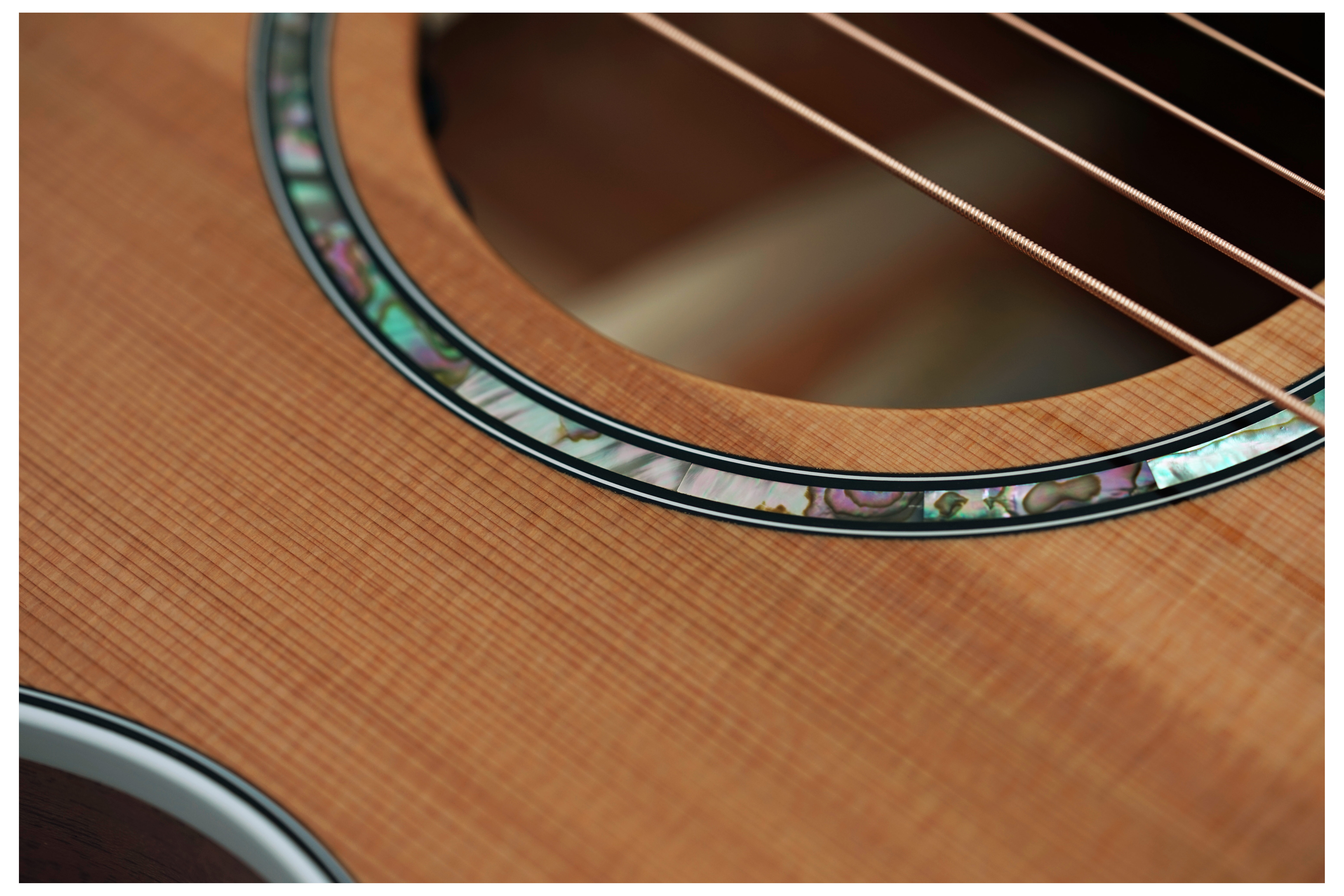 Taylor 512ce Next Generation Grand Concert #1204306011