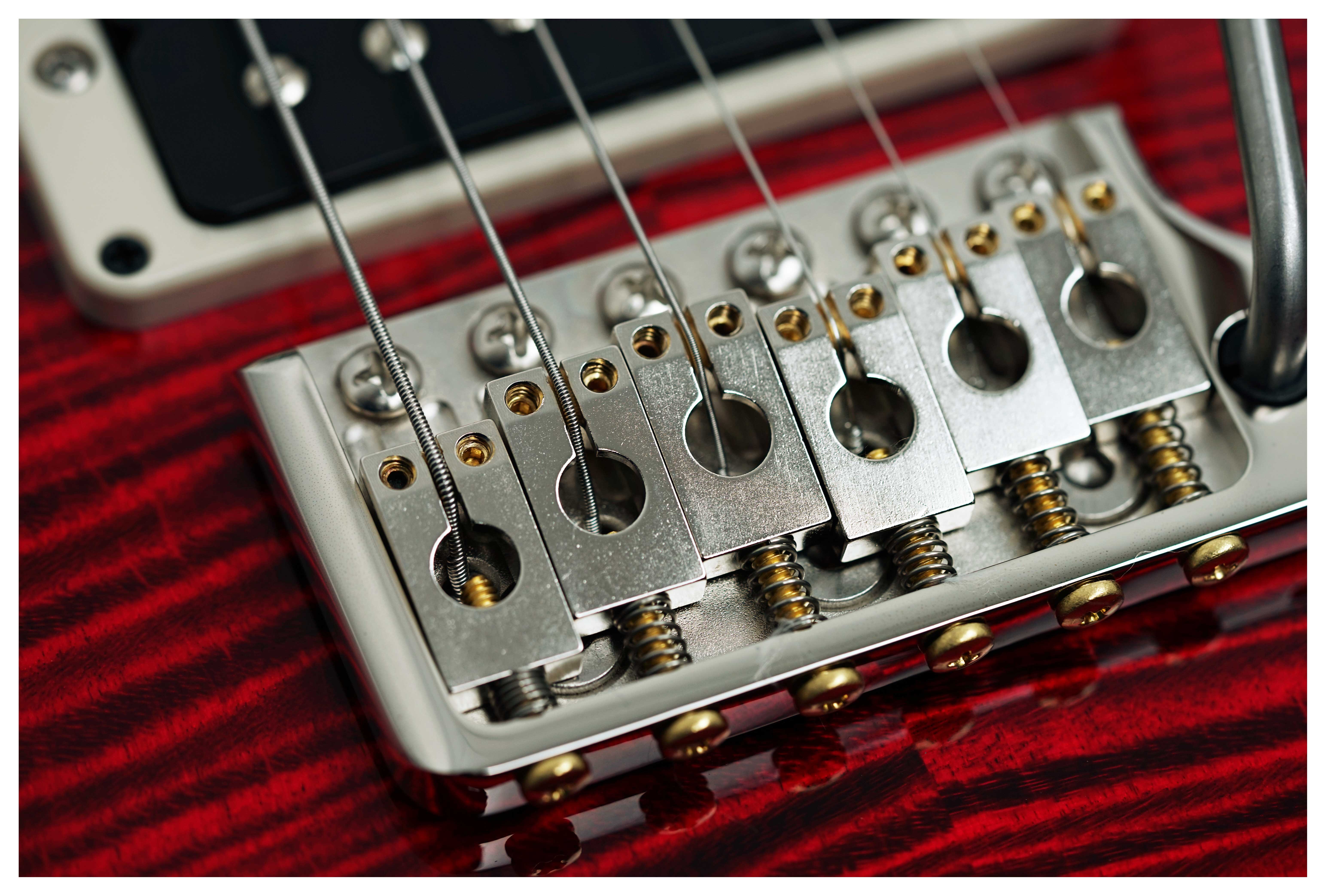 PRS Custom 24 Birds of a Feather Blood Red Limited Edition #0429786