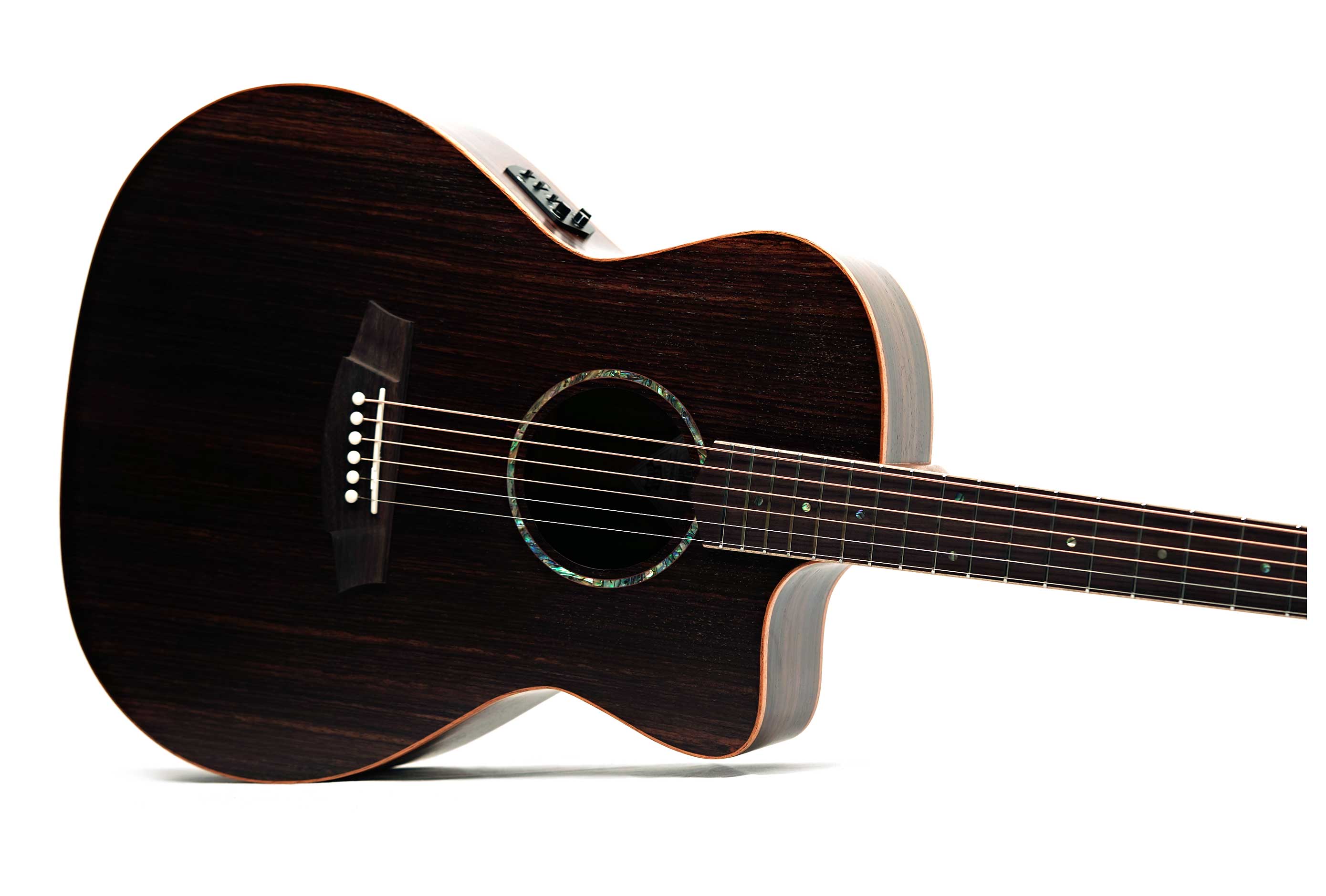 Cole Clark Studio AN1EC All Rosewood #2607-3515