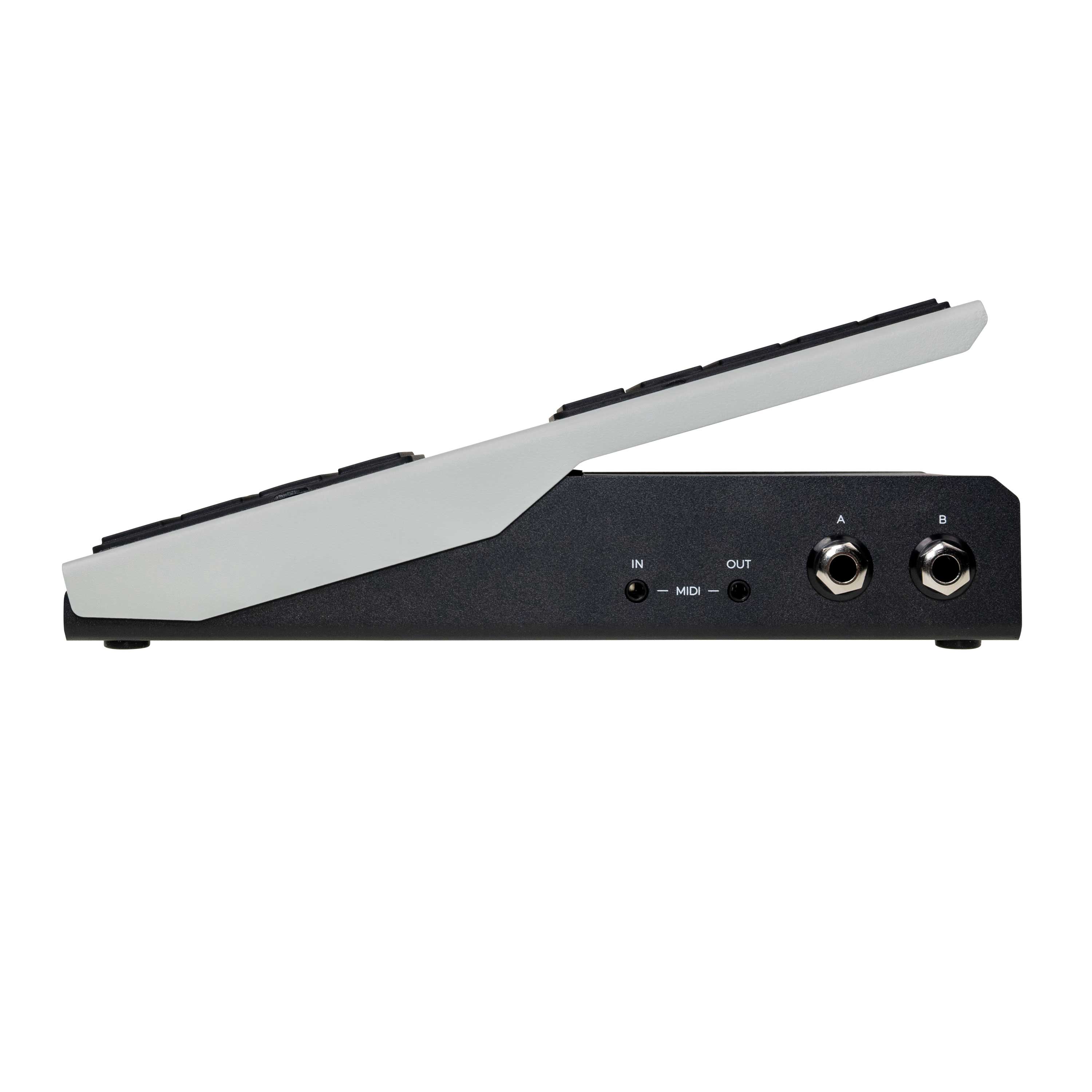 Walrus Audio Canvas Expression Pedal