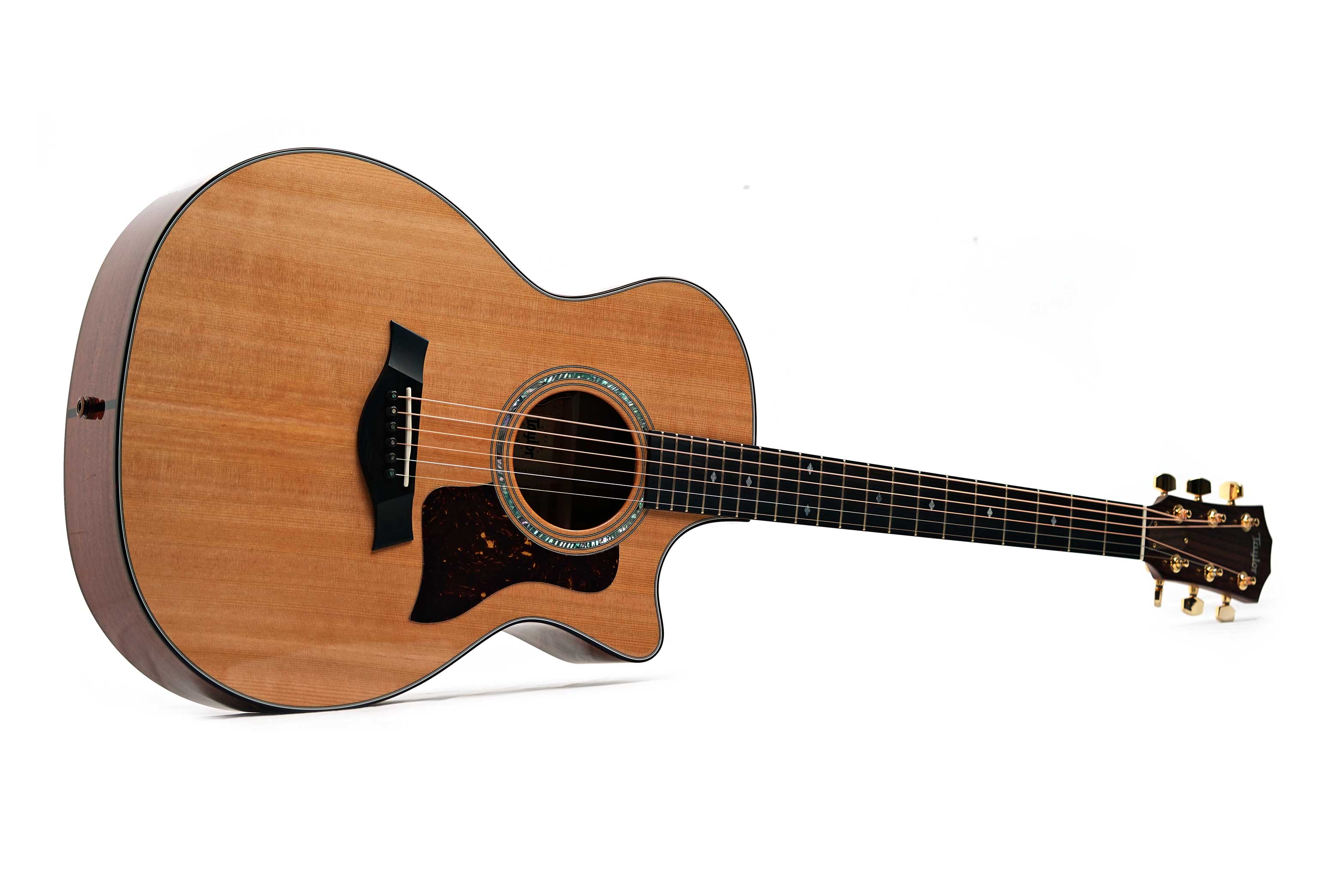 Taylor Legacy 514ce Grand Auditorium (Nearly New) #1204175002