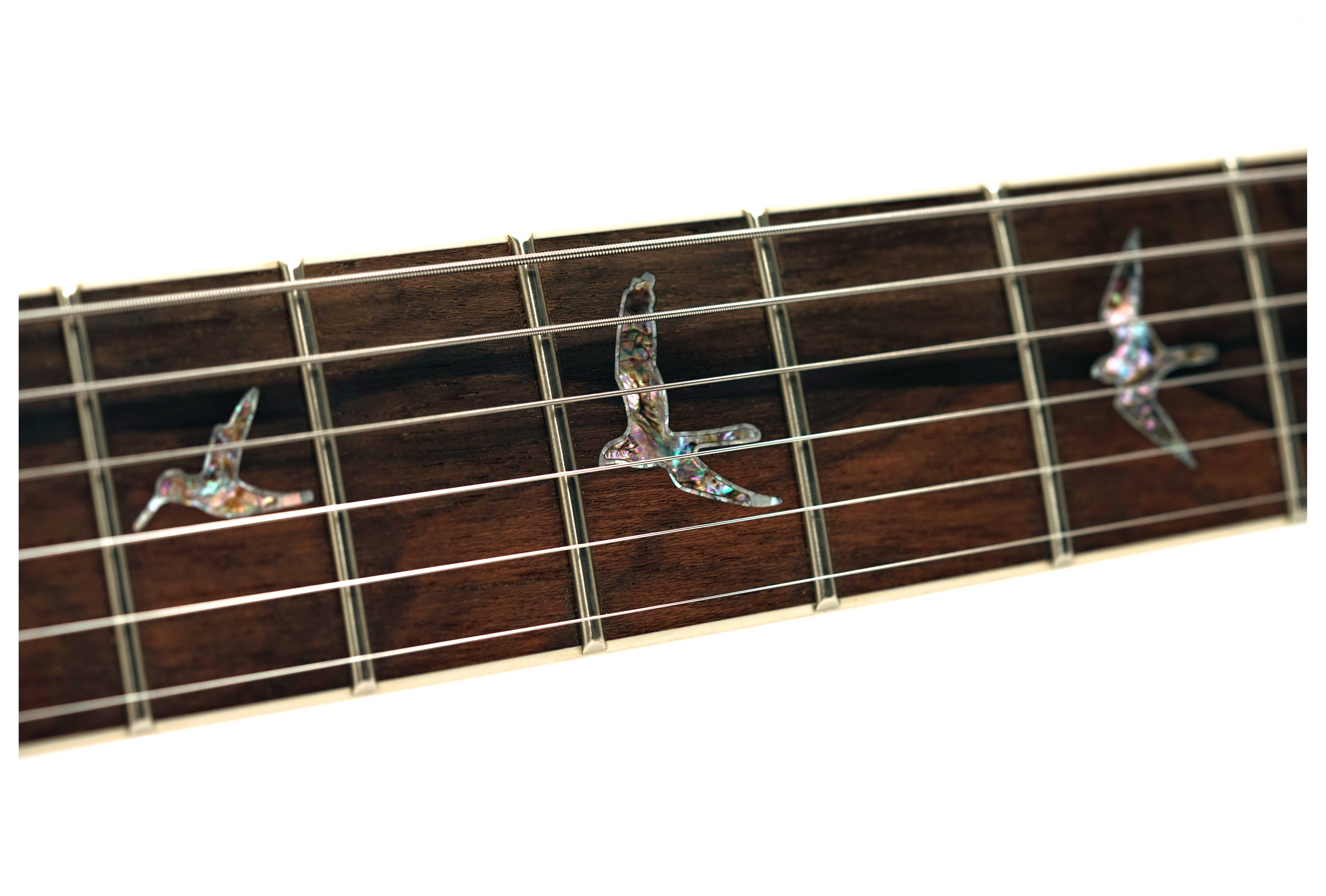 PRS Limited Edition Wood Library McCarty Emerald Hand Selected 10 Top #0427648