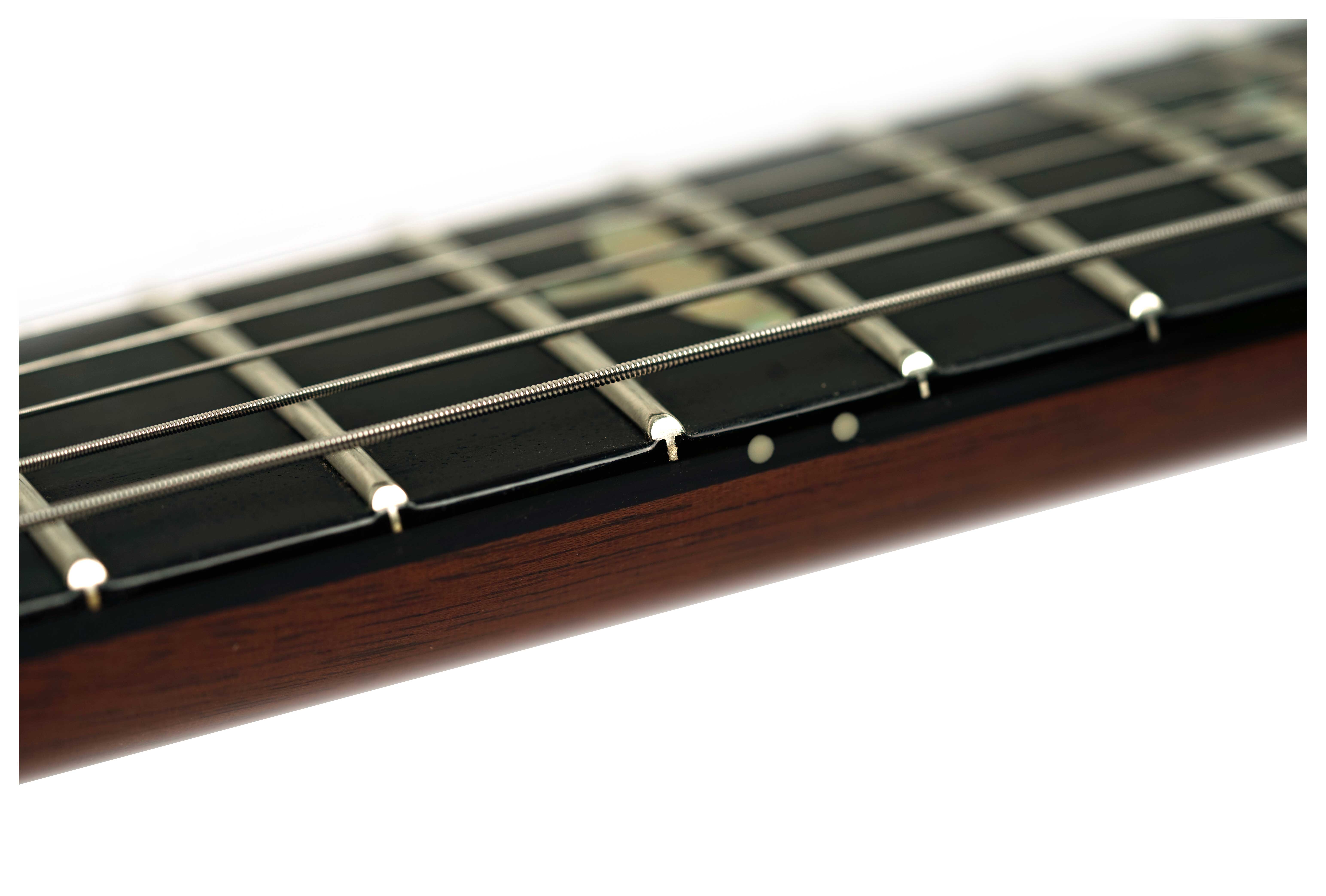 PRS Limited Edition Custom 24 Semi-Hollow Hand Selected Artist Grade Faded Indigo with Korean Awabi Birds #0424292
