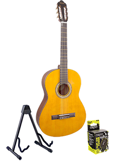 Acoustic Guitars For Beginners guitarguitar