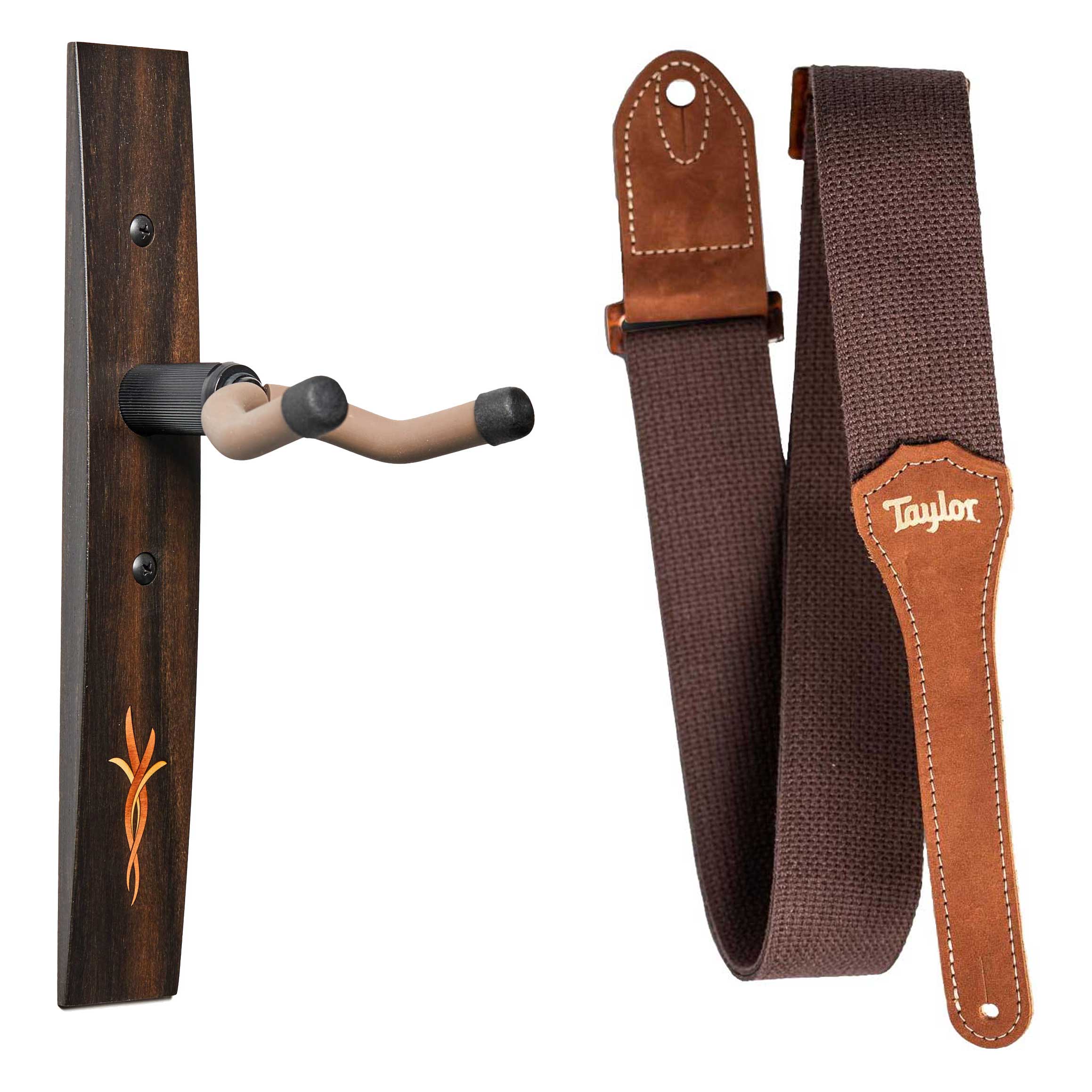 Taylor GS Mini Accessory Pack Brown