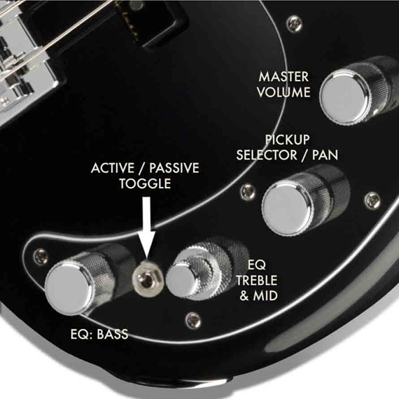 Fender Player Plus Control Options