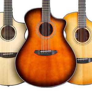Breedlove Ex-Demo Sale