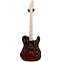 Fender James Burton Telecaster Red Paisley Flames (Pre-Owned) Front View