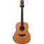 Taylor Builder's Edition Grand Pacific 717e Natural (Pre-Owned) Front View
