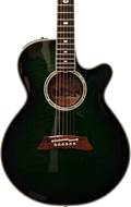 Takamine FP115 SGS (Pre-Owned)