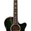 Takamine FP115 SGS (Pre-Owned) 