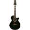 Takamine FP115 SGS (Pre-Owned) Front View