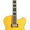 Ibanez PM2AA Pat Metheny Signature (Pre-Owned) 