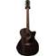 Eastman PCH3 GAC Limited Edition Trans Charcoal Maple Neck Back and Sides (Pre-Owned) Front View
