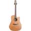 Takamine ETN10C Natural (Pre-Owned) Front View