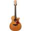 Taylor 2009 354CE Grand Auditorium 12 String (Pre-Owned) Front View