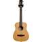 Tanglewood TW2TSE Travel Guitar (Pre-Owned) Front View