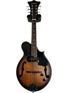 Tanglewood TWMF VSE Mandolin (Pre-Owned)