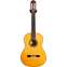 Yamaha GC22S Grand Concert Classical Guitar (Pre-Owned) Front View