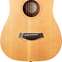 Taylor 301-GB Baby (Pre-Owned) 