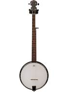 Gold Tone AC1 Left Handed (Pre-Owned)