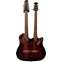 Ovation Celebrity CSE225 Elite Double Neck (Pre-Owned) Front View