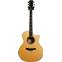 Taylor 2004 K-14CE-L30 30th Anniversary (Pre-Owned) Front View