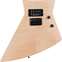 Chapman Ghost Fret Flame Maple (Pre-Owned) 