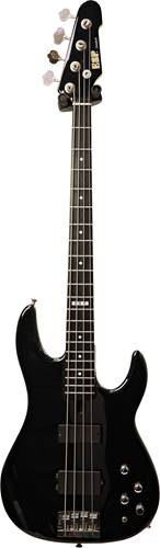 ESP 2007 Surveyor Standard Series Gloss Black (Pre-Owned) ESP 2007 Surveyor Standard Series Gloss Black (Pre-Owned)
